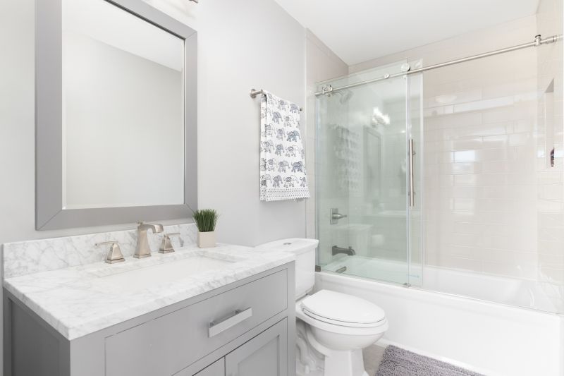 Tub Conversion Service detail